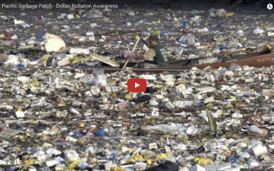Great Pacific Garbage Patch – Ocean Pollution Awareness