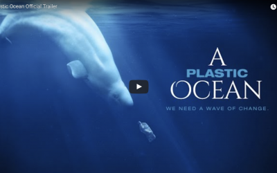 A Plastic Ocean Official Trailer